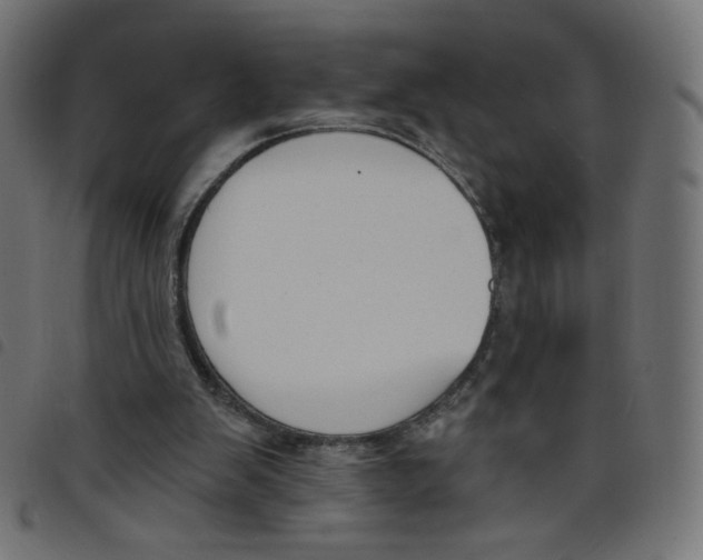 X0000098110103200804251437