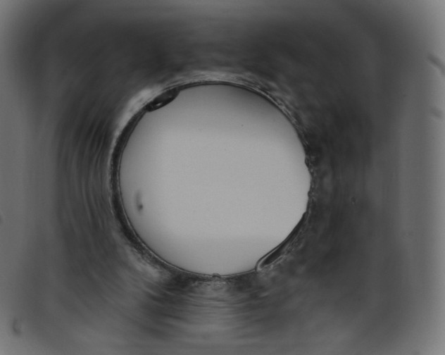 X0000098110104200804251437