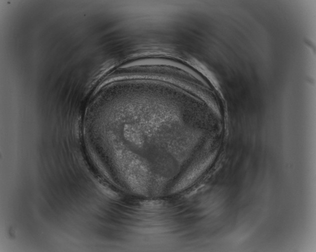 X0000098110105200804251437