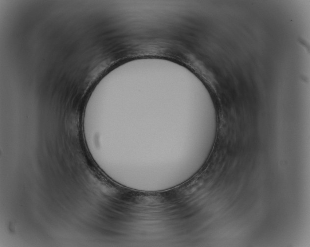 X0000098110107200804251437