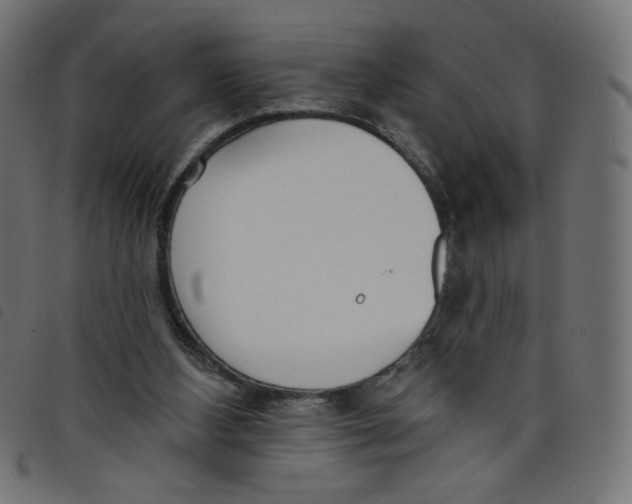 X0000098110108200804251437