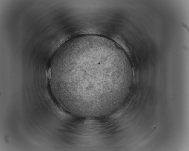 X0000098110109200804251437