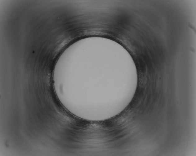 X0000098110111200804251437