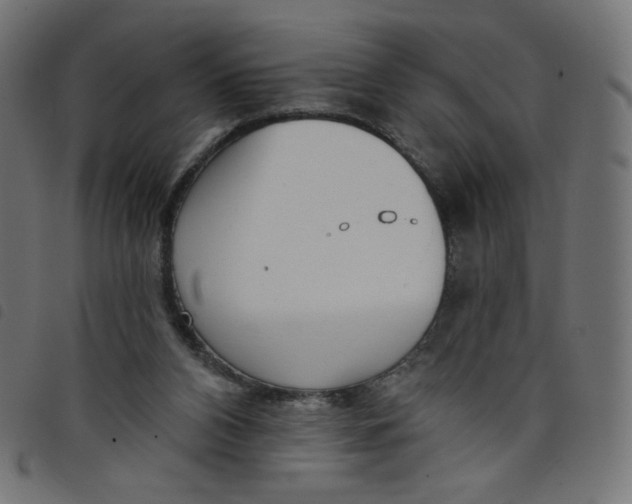 X0000098110112200804251437