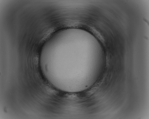 X0000098110113200804251437