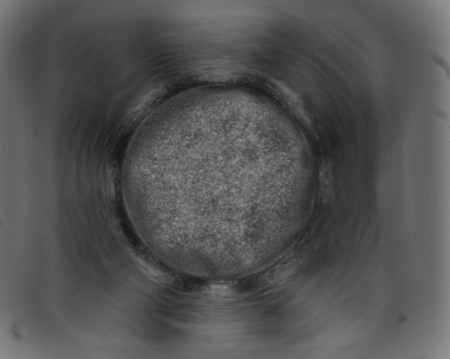 X0000098110114200804251437