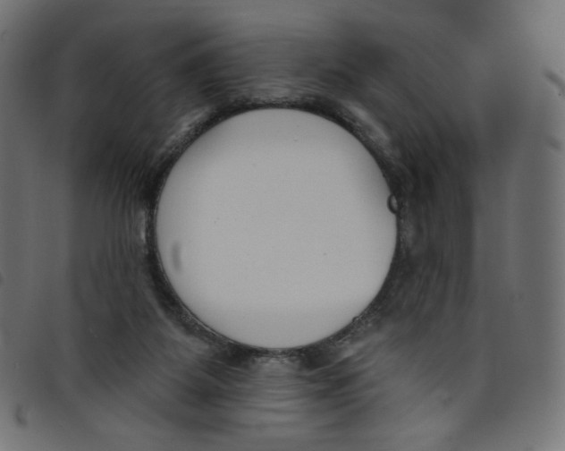 X0000098110115200804251437