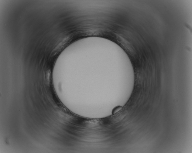 X0000098110118200804251437