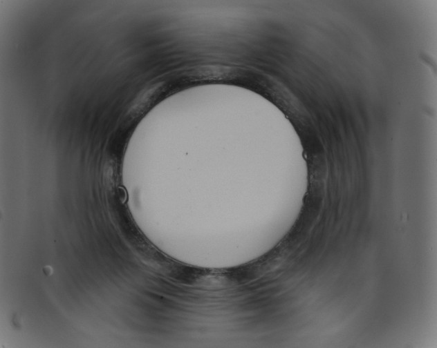 X0000098110119200804251437