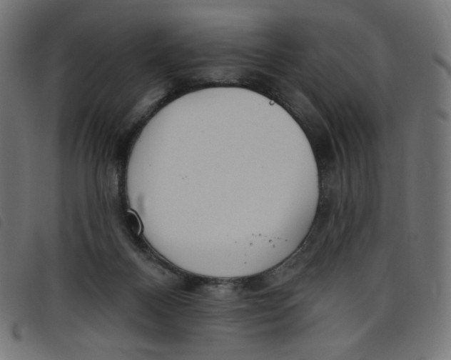 X0000098110120200804251437