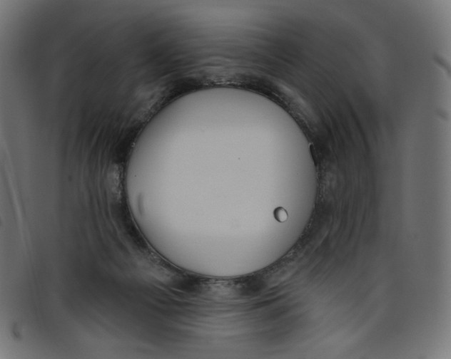 X0000098110121200804251437