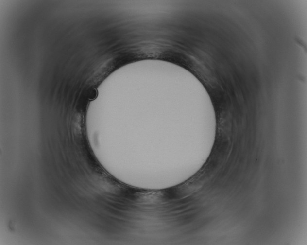 X0000098110122200804251437