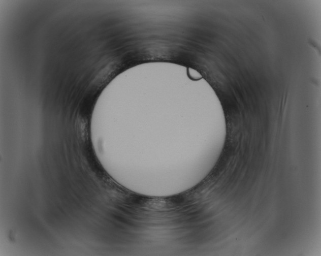 X0000098110123200804251437