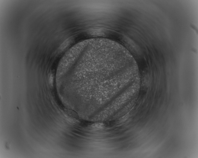 X0000098110124200804251437