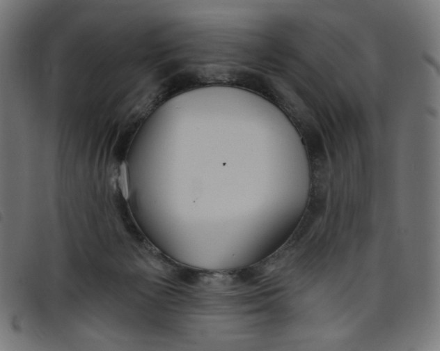 X0000098110125200804251437