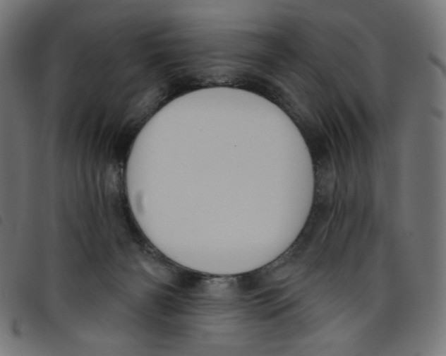 X0000098110126200804251437