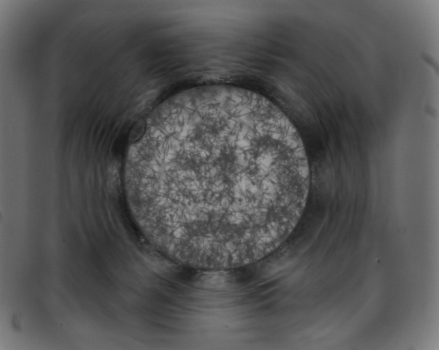 X0000098110127200804251437