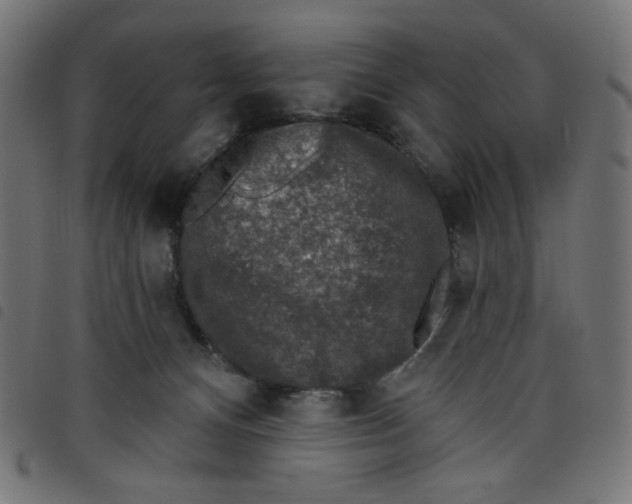 X0000098110128200804251437