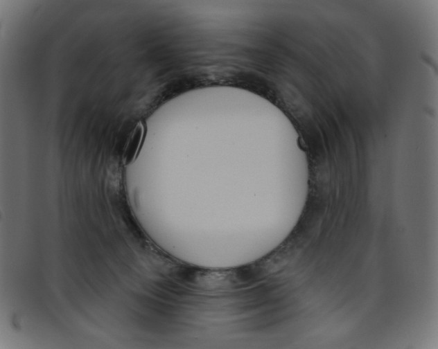 X0000098110129200804251437