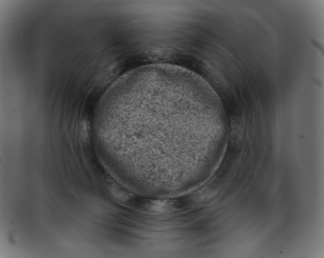 X0000098110130200804251437