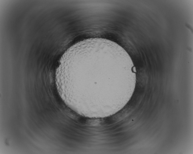 X0000098110131200804251437