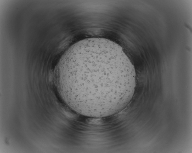 X0000098110132200804251437