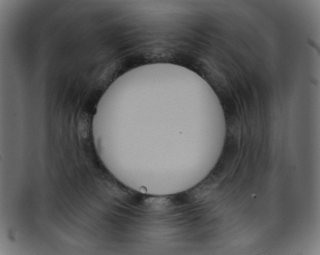 X0000098110133200804251437