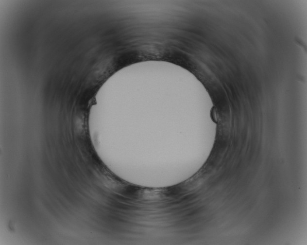 X0000098110134200804251437