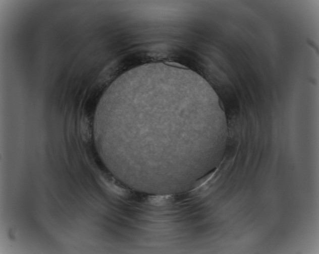 X0000098110136200804251437