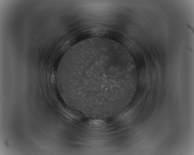 X0000098110137200804251437