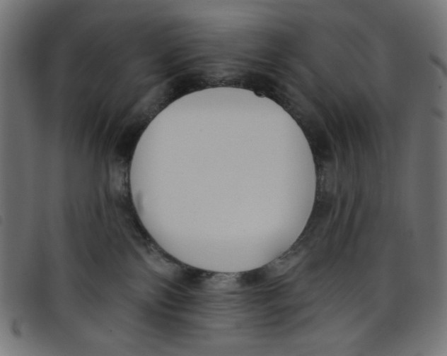 X0000098110138200804251437