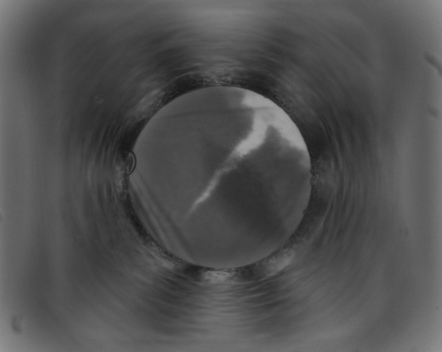 X0000098110139200804251437