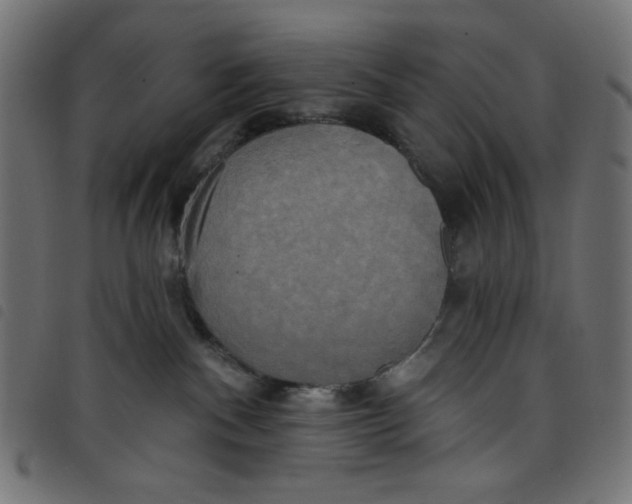 X0000098110140200804251437