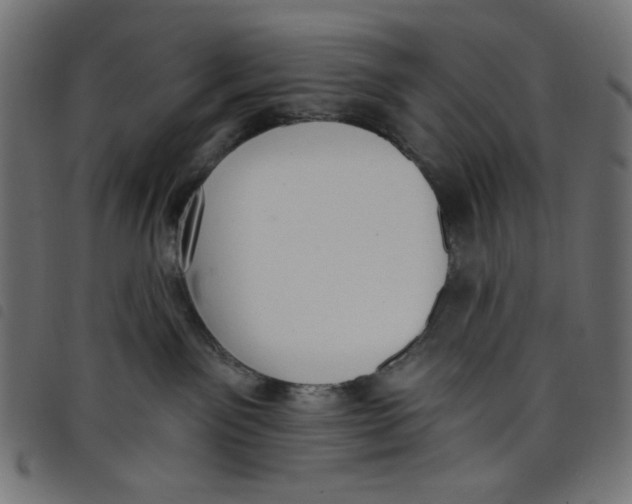 X0000098110141200804251437