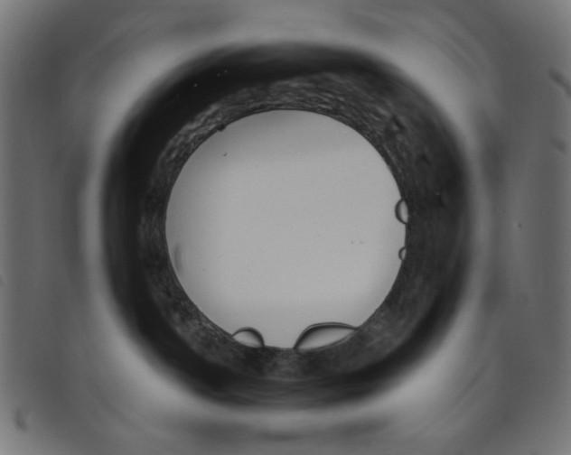 X0000098110142200804251437