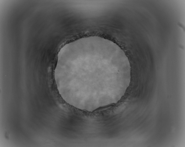 X0000098110144200804251437