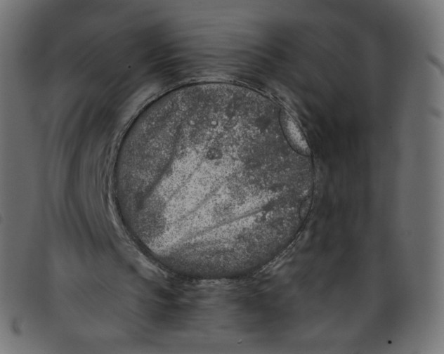 X0000098110145200804251436