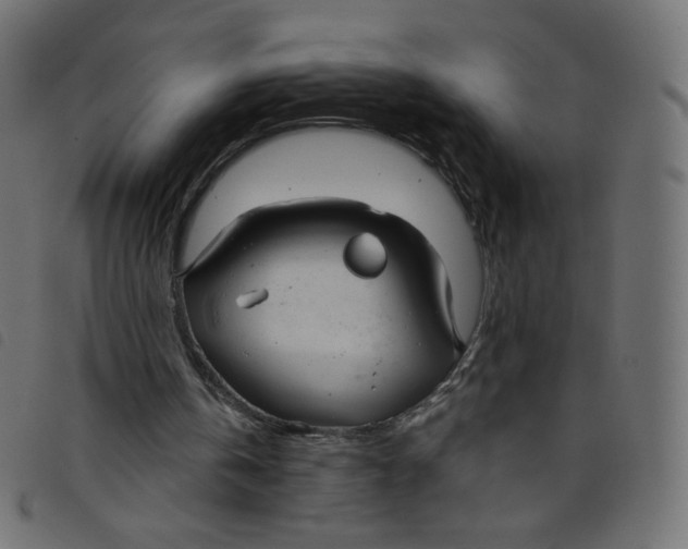 X0000098110146200804251436