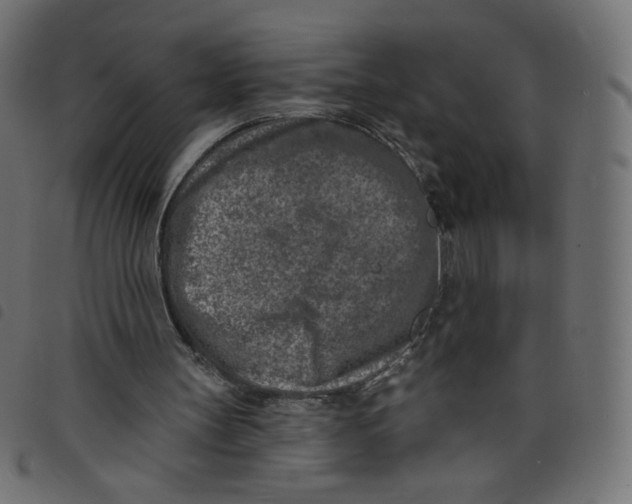 X0000098110147200804251436