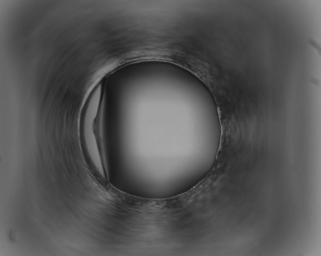 X0000098110148200804251436