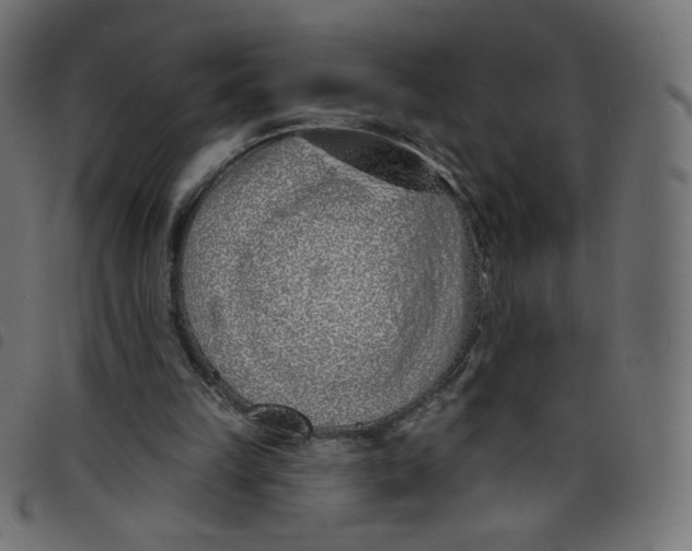 X0000098110149200804251436