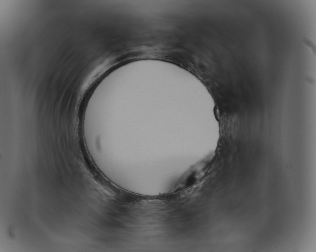 X0000098110150200804251436