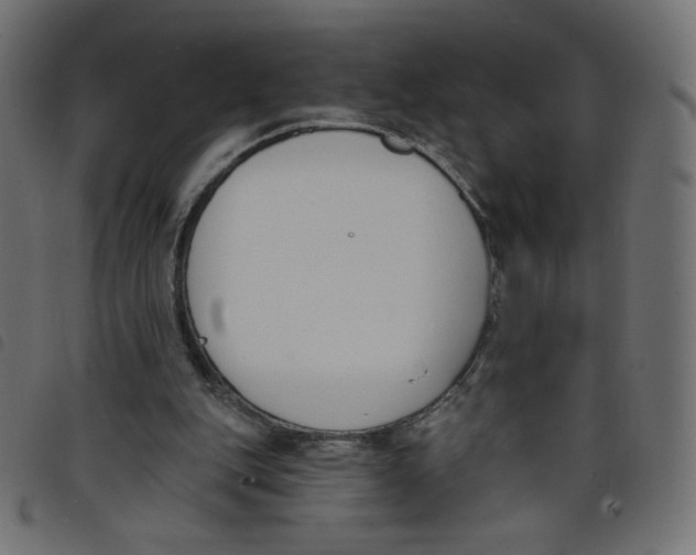 X0000098110151200804251436