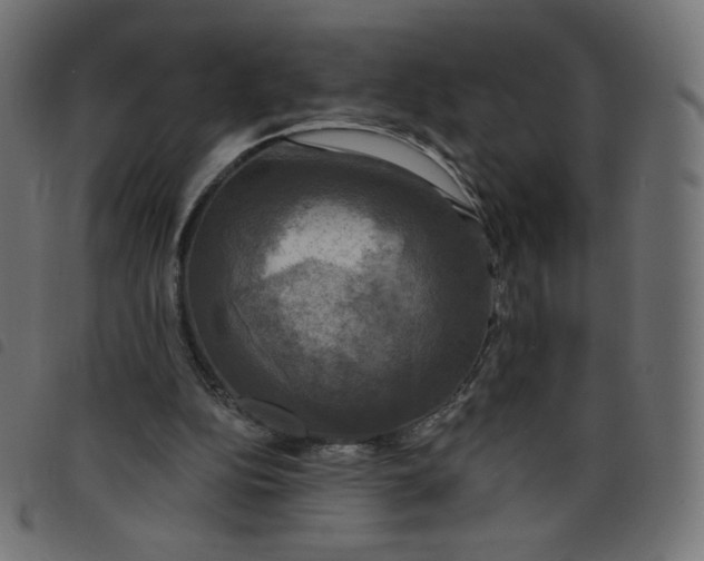 X0000098110152200804251436