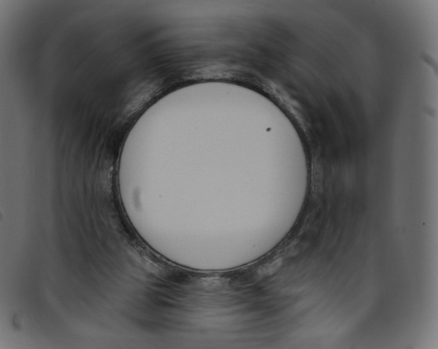 X0000098110153200804251436