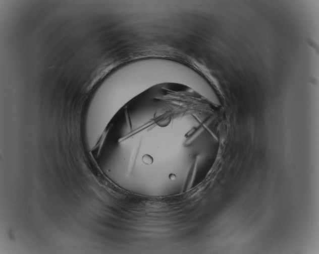 X0000098110154200804251436