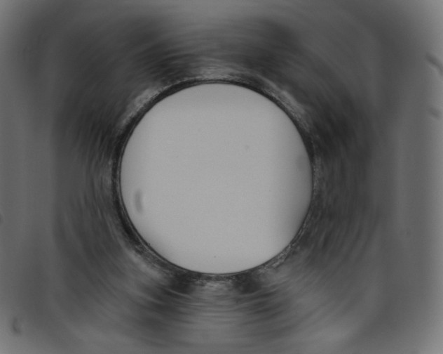 X0000098110155200804251436