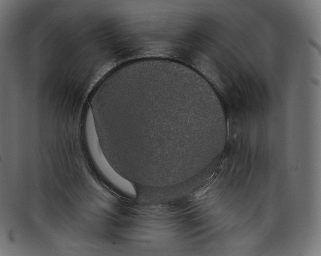 X0000098110156200804251436