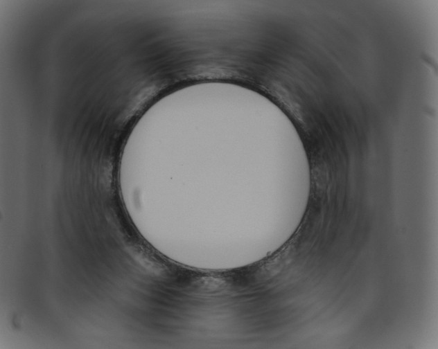 X0000098110159200804251436