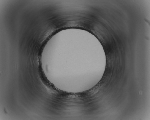 X0000098110160200804251436